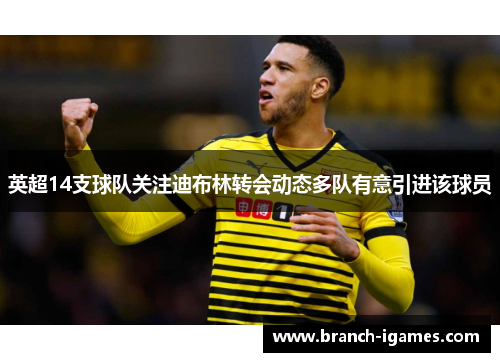 英超14支球队关注迪布林转会动态多队有意引进该球员