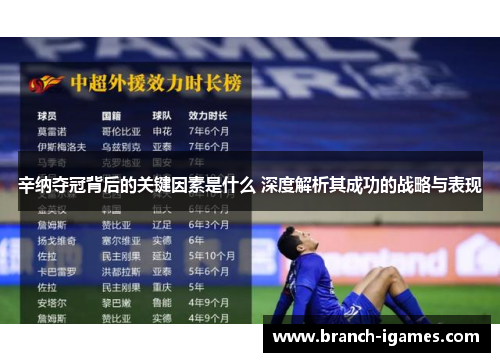 辛纳夺冠背后的关键因素是什么 深度解析其成功的战略与表现