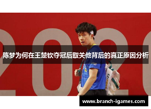 陈梦为何在王楚钦夺冠后取关他背后的真正原因分析