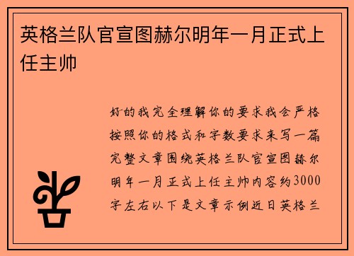 英格兰队官宣图赫尔明年一月正式上任主帅