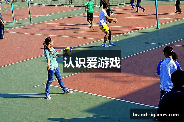 认识爱游戏